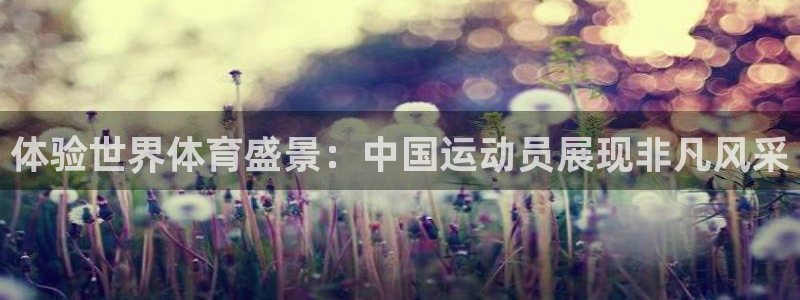 杏鑫官网