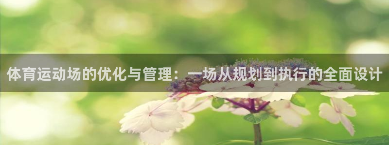 杏鑫零能源集团：体育运动场的优化与管理：一场从规划到执行的全面设计