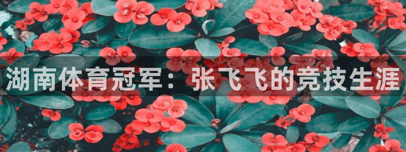 杏鑫体育论坛：湖南体育冠军：张飞飞的竞技生涯