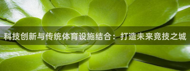 杏鑫平台注册：科技创新与传统体育设施结合：打造未来竞技之城