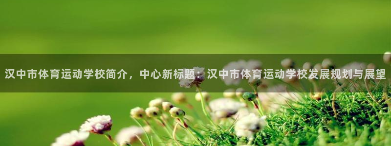 杏鑫官网：汉中市体育运动学校简介，中心新标题：汉中市体育运动学校发展规划与展望