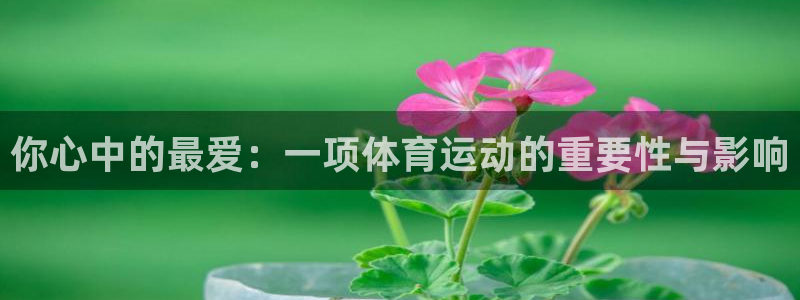 杏鑫2注册：你心中的最爱：一项体育运动的重要性与影响