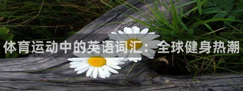 杏鑫官网注册：体育运动中的英语词汇：全球健身热潮