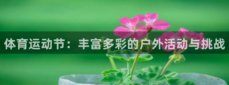 德国杏鑫集团：体育运动节：丰富多彩的户外活动与挑战