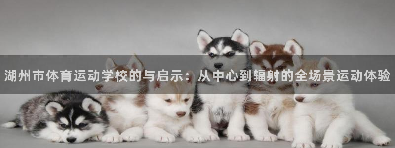 杏鑫3注册：湖州市体育运动学校的与启示：从中心到辐射的全场景运动体验