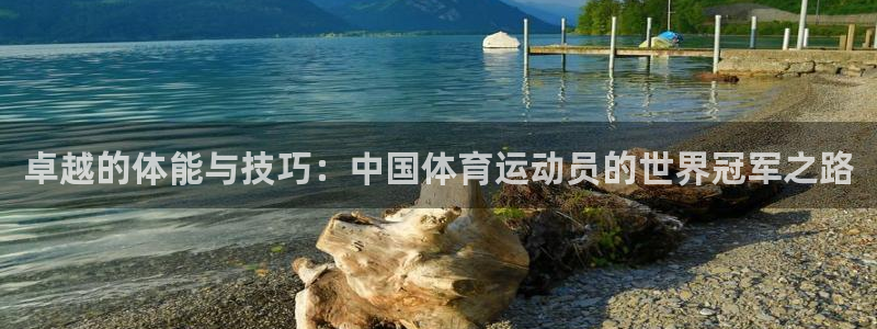 杏鑫体育在线注册：卓越的体能与技巧：中国体育运动员的世界冠军之路