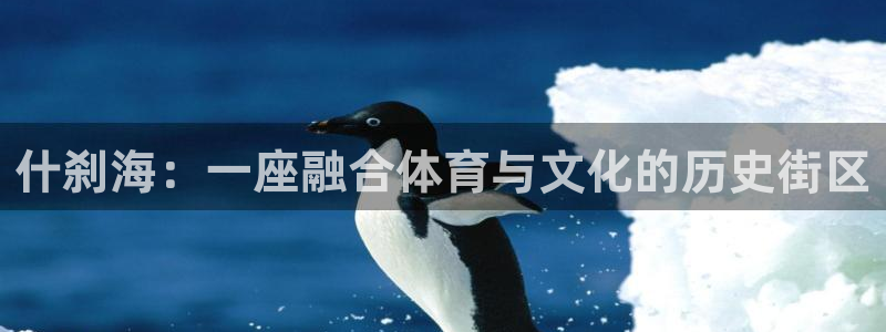 杏鑫：什刹海：一座融合体育与文化的历史街区