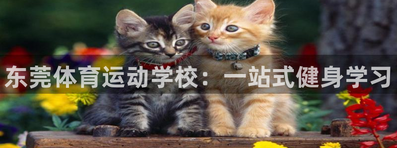 www.杏鑫体育.com：东莞体育运动学校：一站式健身学习