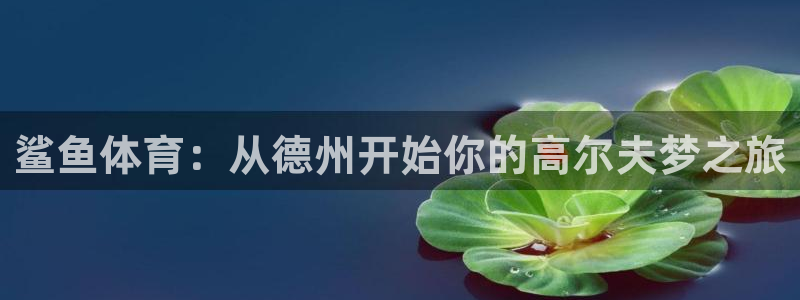 杏鑫集团总部