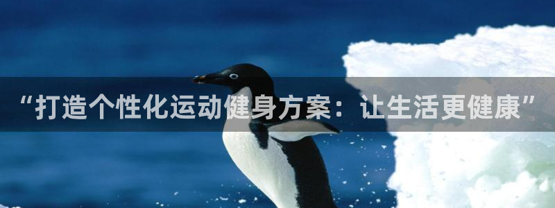 杏鑫平台总代理：“打造个性化运动健身方案：让生活更健康”