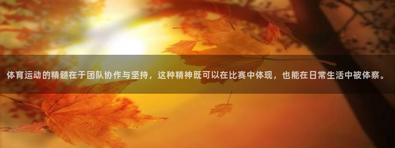 杏鑫2平台注册：体育运动的精髓在于团队协作与坚持，这种精神既可以在比赛中体现，也