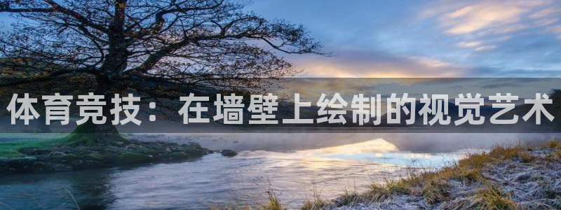 杏鑫3平台注册：体育竞技：在墙壁上绘制的视觉艺术