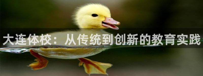 杏鑫4平台