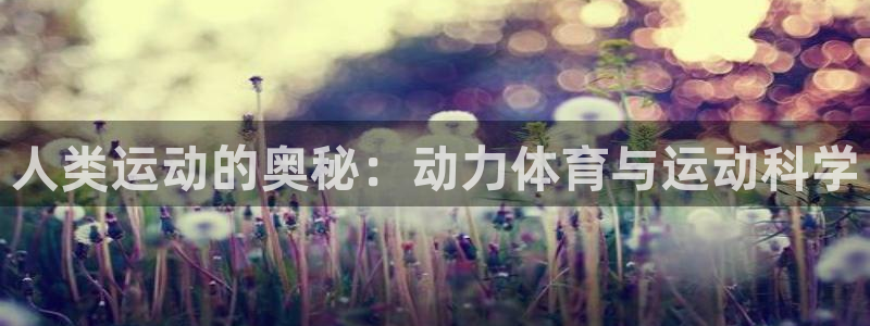 杏鑫能源