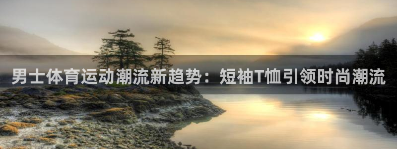杏鑫体育和杏耀是哪个公司的