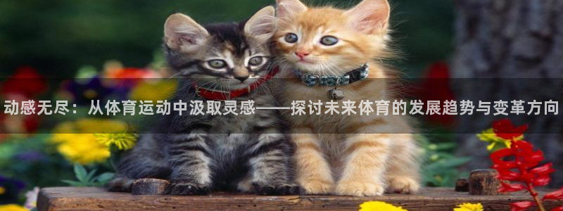 杏鑫体育免费注册入口：动感无尽：从体育运动中汲取灵感——探讨未来体育的发展趋势与