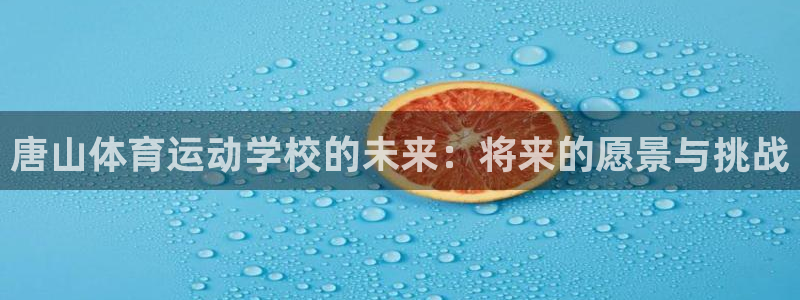 杏鑫能源：唐山体育运动学校的未来：将来的愿景与挑战
