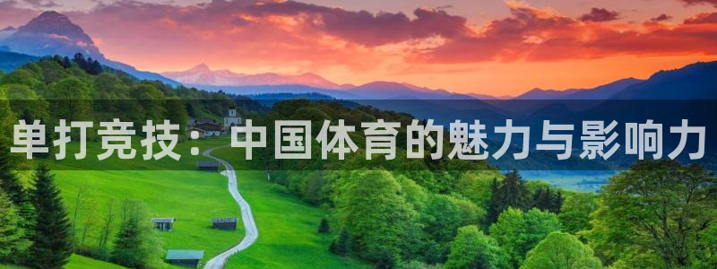 杏鑫体育2：单打竞技：中国体育的魅力与影响力