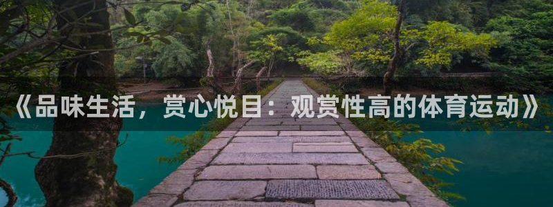 杏鑫凯捷平台：《品味生活，赏心悦目：观赏性高的体育运动》
