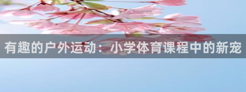 杏鑫体育1招商：有趣的户外运动：小学体育课程中的新宠