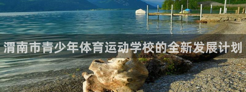 东莞市杏鑫电子科技有限公司：渭南市青少年体育运动学校的全新发展计划