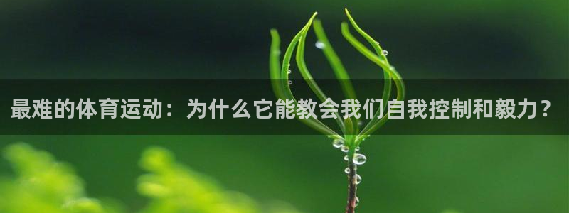 杏鑫3平台登录注册：最难的体育运动：为什么它能教会我们自我控制和毅力？