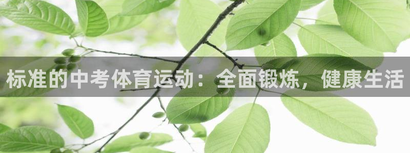 杏鑫体育在线注册：标准的中考体育运动：全面锻炼，健康生活