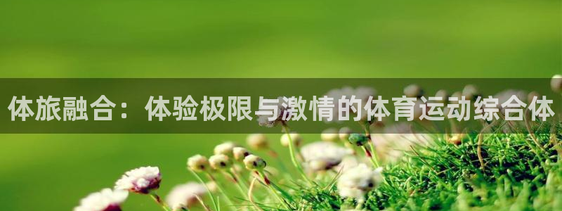 杏鑫体育平台总代理：体旅融合：体验极限与激情的体育运动综合体