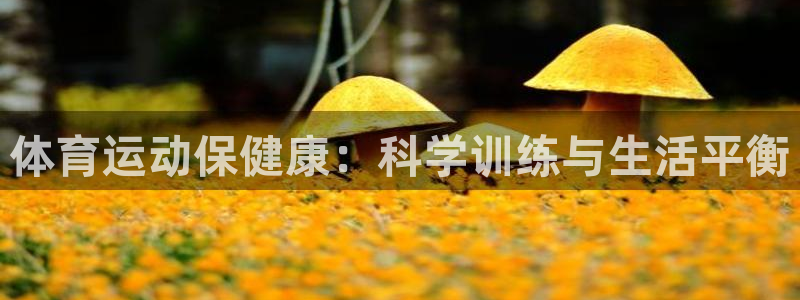 杏鑫体育3在线注册：体育运动保健康：科学训练与生活平衡