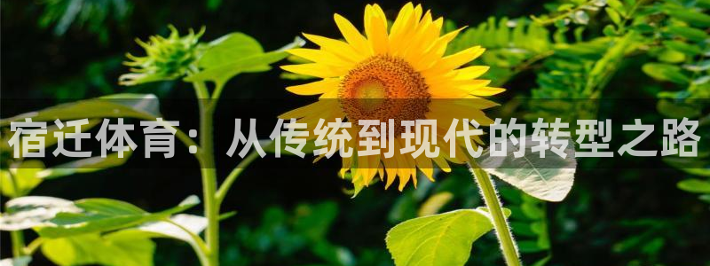 杏鑫体育f开户：宿迁体育：从传统到现代的转型之路