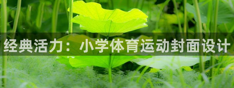 杏鑫4：经典活力：小学体育运动封面设计